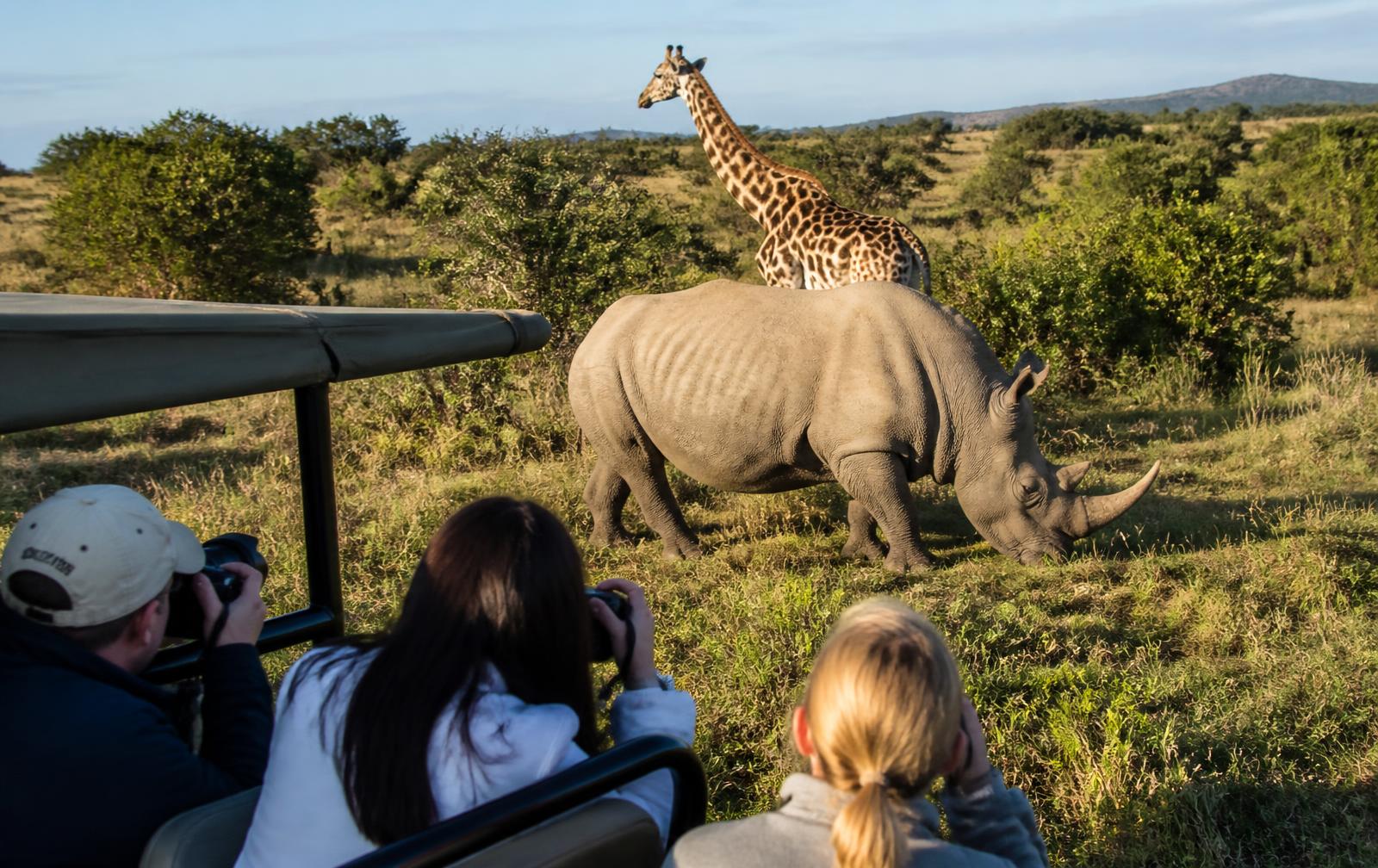Guests photographing rhino and giraffe from an open safari vehicle at Dinokeng Game Reserve