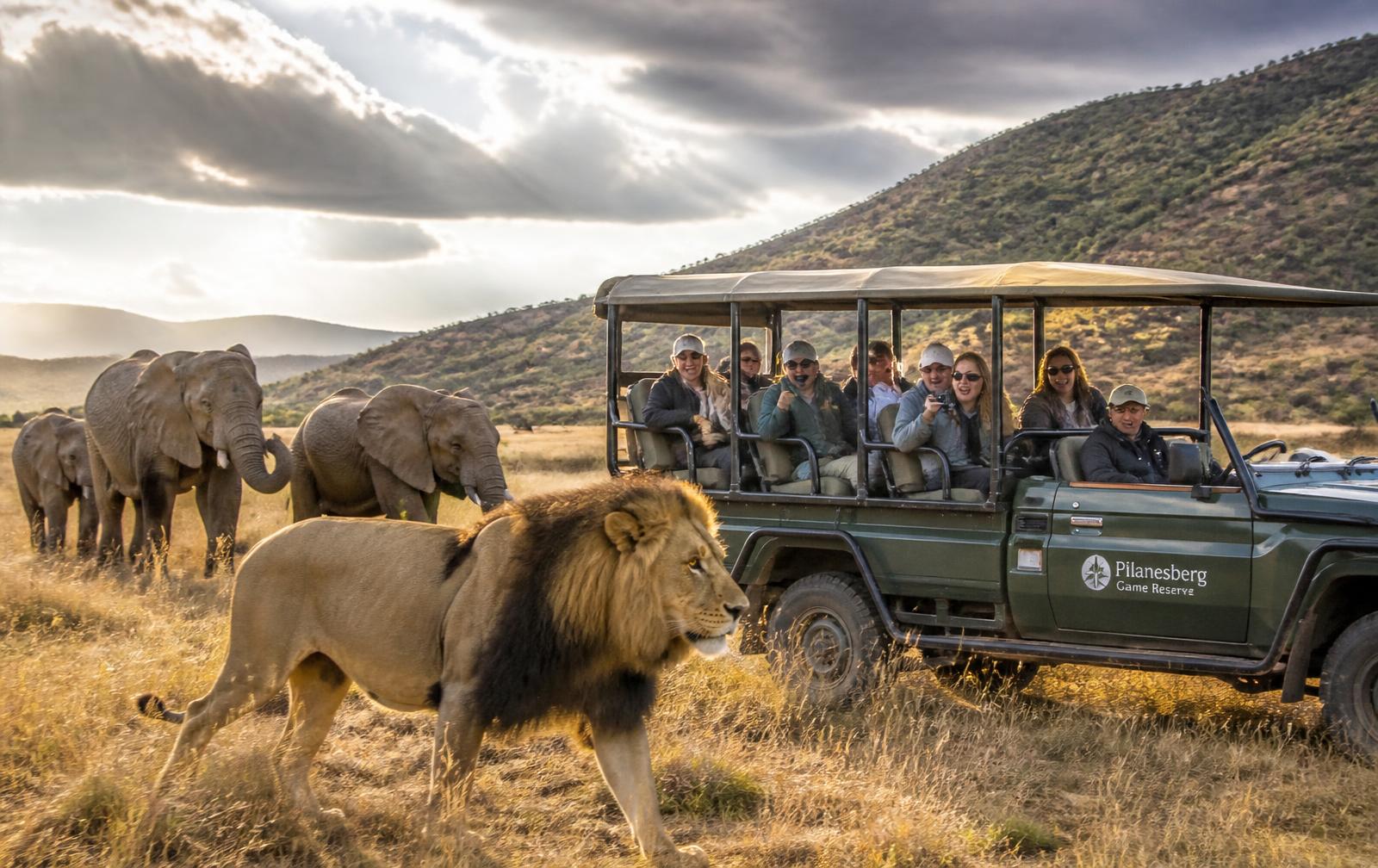 Pilanesberg Big Five Safari